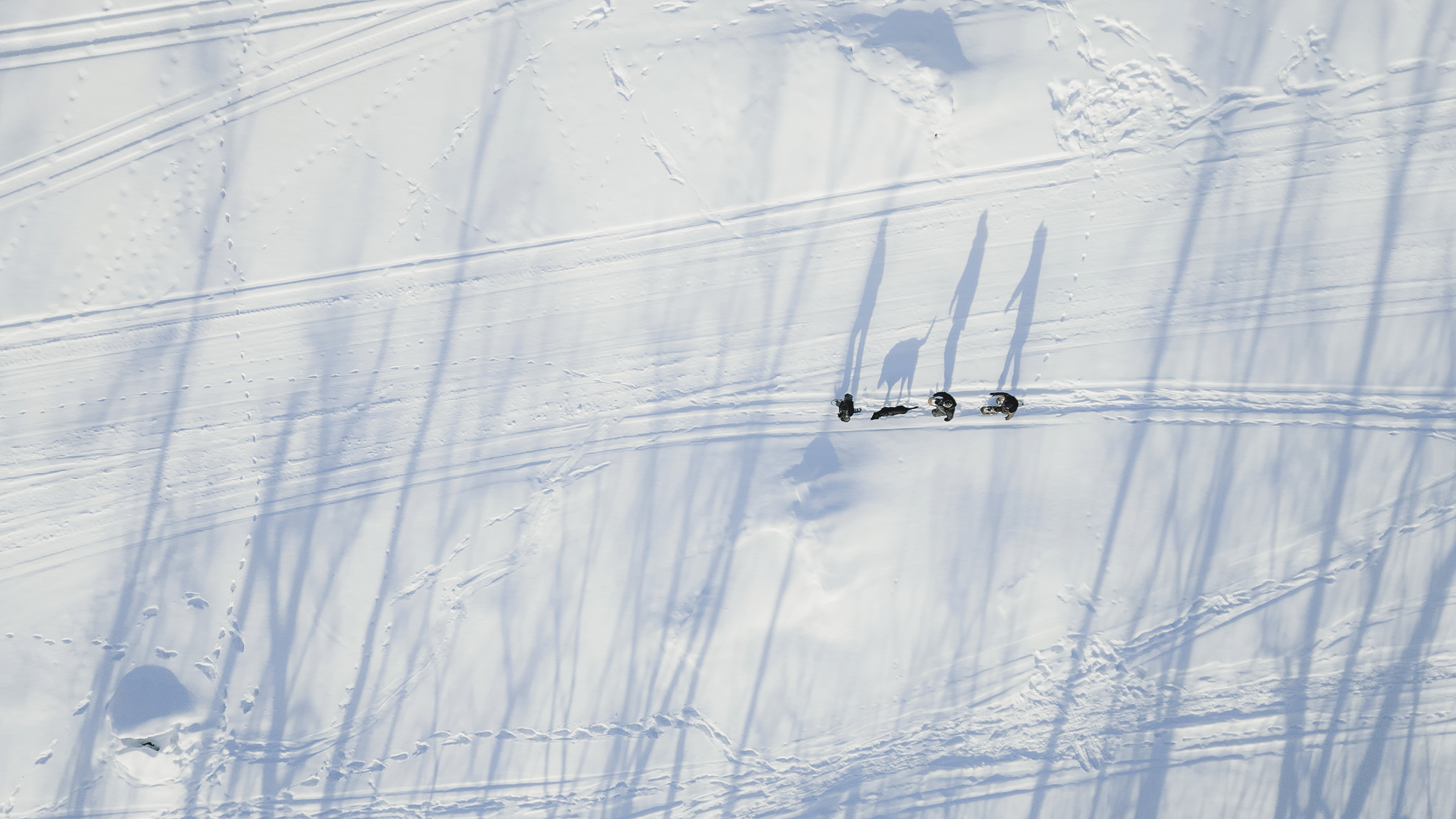 Aerial view of snowshoers and their dog on the Whitemouth River alongside to the Moon Gate property