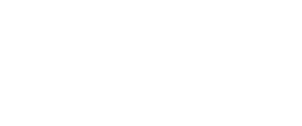 The Original Original logo in white